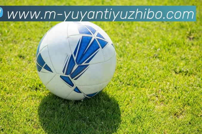 雨燕体育直播品牌故事