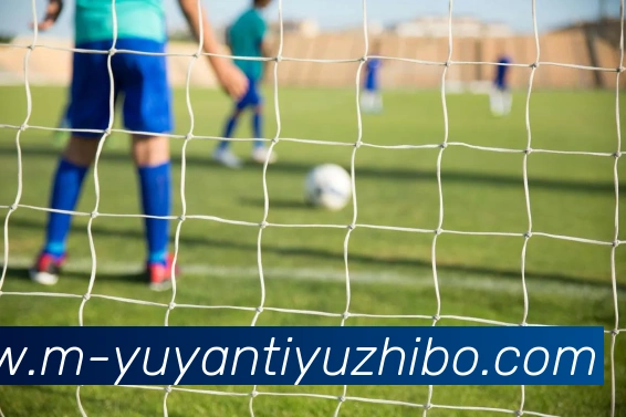 雨燕体育直播服务体系