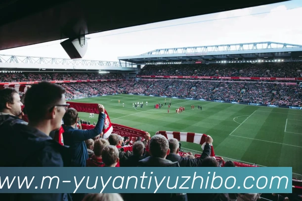 多媒体互动体验